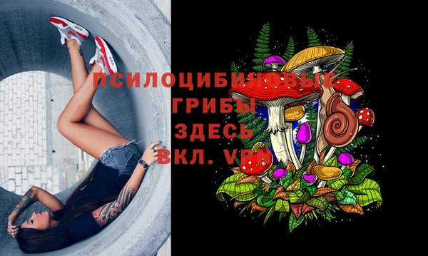 кокс Абаза