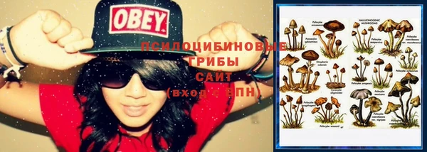 соль ск Болхов